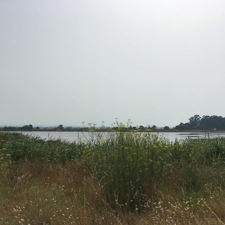 Moradia Proxima Da Praia Do Areinho, Na Ria, E Praia Dos Marretas 欧瓦 外观 照片